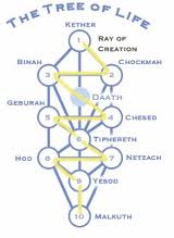 Image result for the tree of life